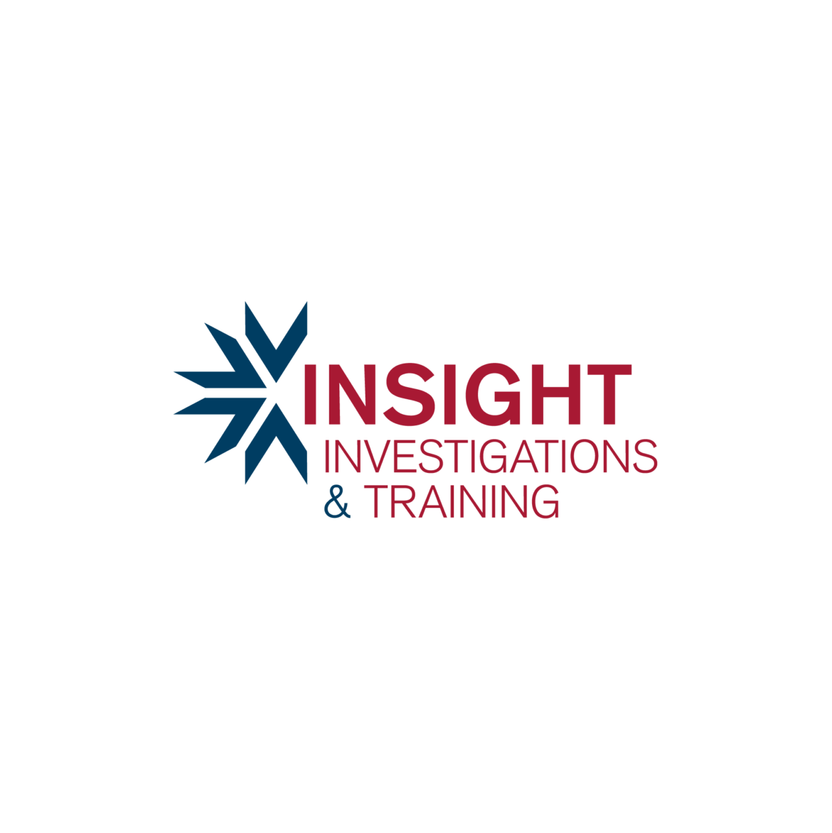 Insight Investigations & Training logo featuring a blue starburst emblem and red text