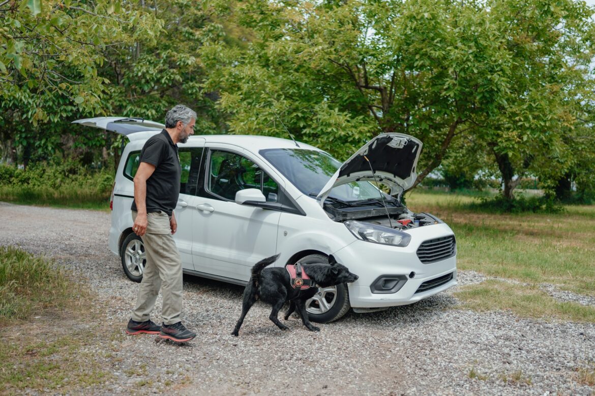 Man standing beside a white van with the hood open on a gravel path, inspecting the engine as two black dogs stand nearby among green trees.