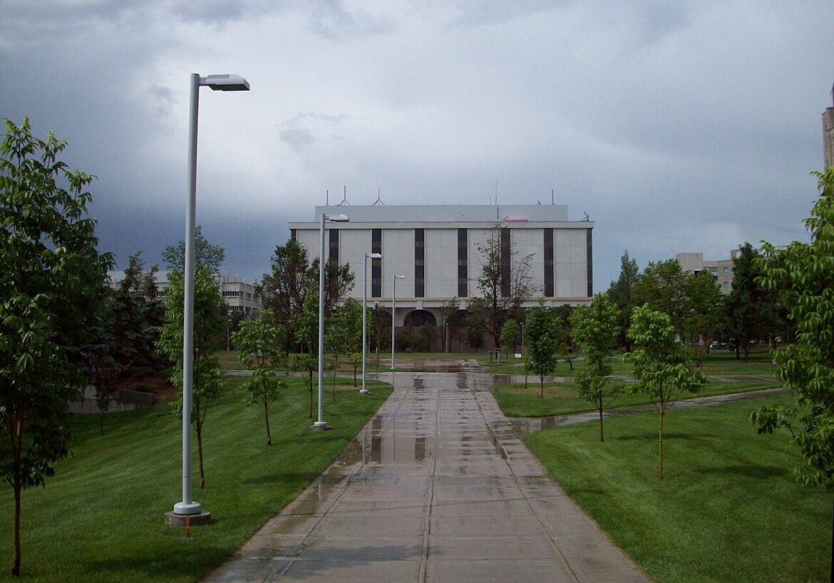 Wet concrete walkway through a park with tall street lamps, leading to a large white building under cloudy skies.
