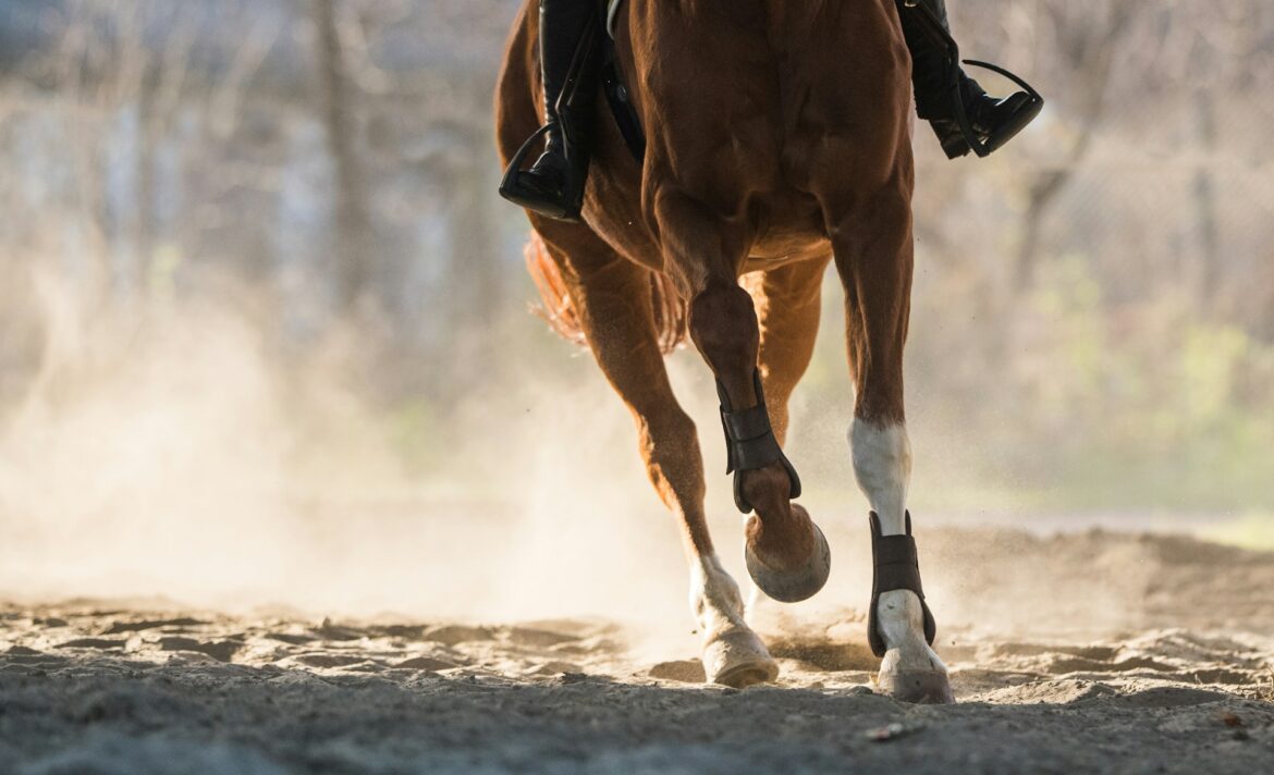 Close-up of a brown horse running from behind, dust rising from its hooves on a dirt track.