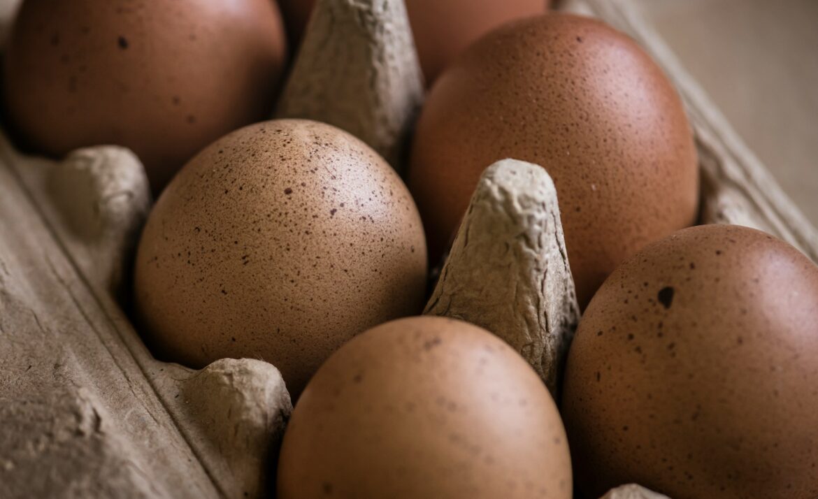 Close-up of brown speckled eggs nestled in a cardboard egg carton.