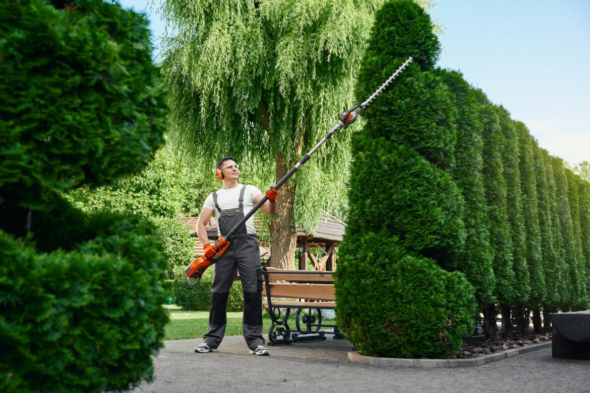 Man in safety gear using a long hedge trimmer to trim shrubs in a garden setting with a bench nearby